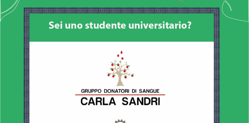 Sei uno studente universitario 1080x1350